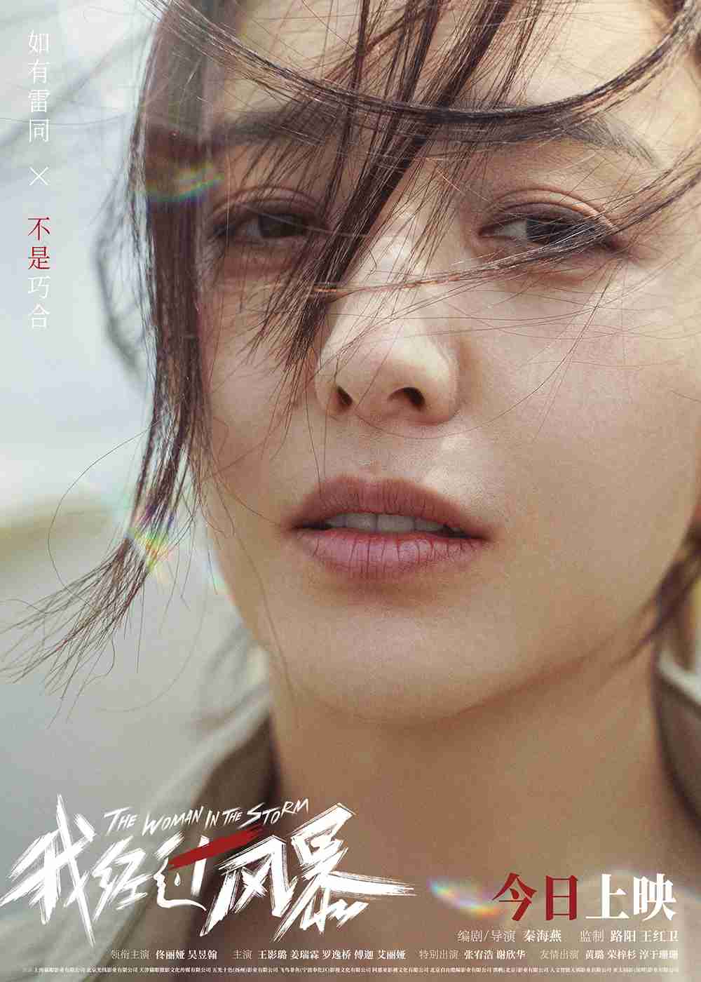 电影《我经过风暴》上映海报